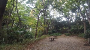 20161110_141049