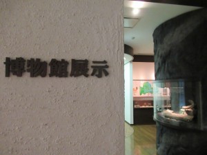 s_5