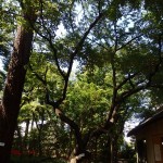 s_P9140009_庭園入口正面