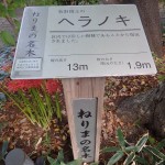 s_④P9140066