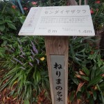 s_⑥P9140067