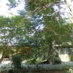 s_⑭P9140065_記念館外観